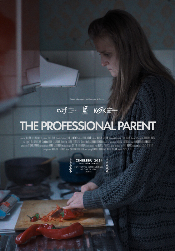 The professional parent